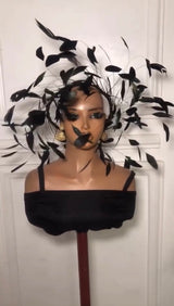 Celestial Feather Halo